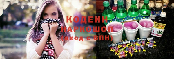 гидра Арсеньев