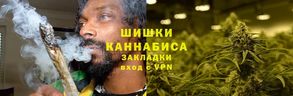 гидра Арсеньев